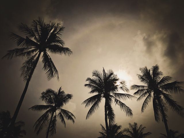 Погода на Пхукете