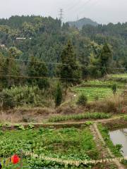 龍神埡郷村風景区