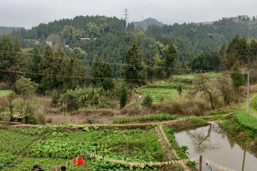 龍神埡郷村風景区