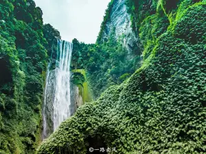 通霊大峡谷