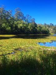 D'Aguilar National Park