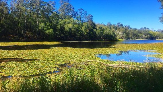 D'Aguilar National Park