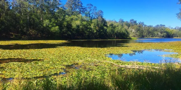 D’Aguilar National Park