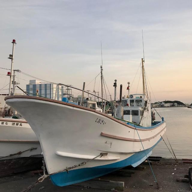 三崎港
