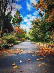 Victoria Esplanade Gardens