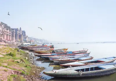 Picture of Manihari