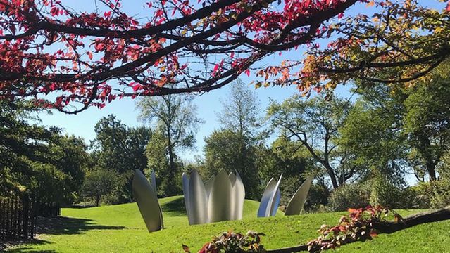 Jackson (Andrew) Park