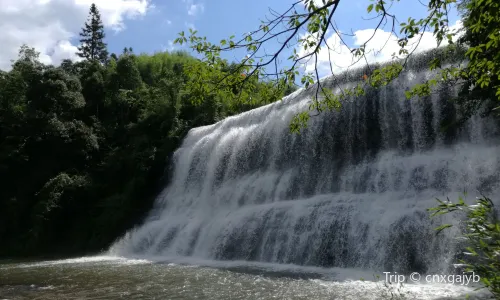 Huangjing Prehistoric Forest