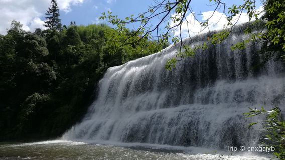 Huangjing Old Forest Tourist Resort