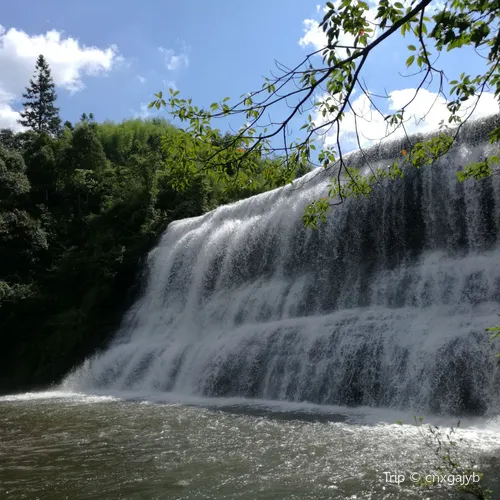 ป่าดั้งเดิมของหวงเจียง