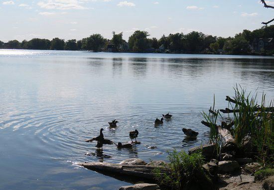 Wilcox Lake