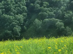 聖水梁九龍湾景区