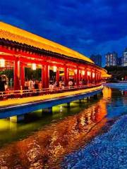 Qujiang Night Tour