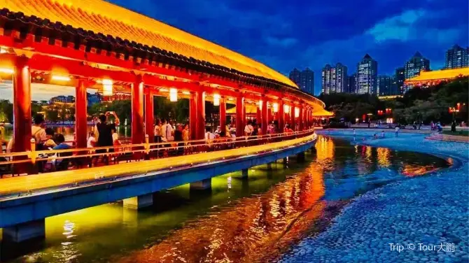 Qujiang Night Tour