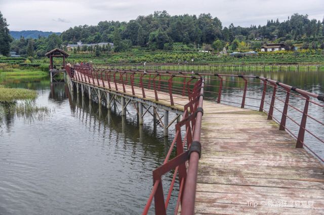 Qingyihu Tourism Scenic Area