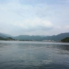 桂港海鮮城張用戶圖片