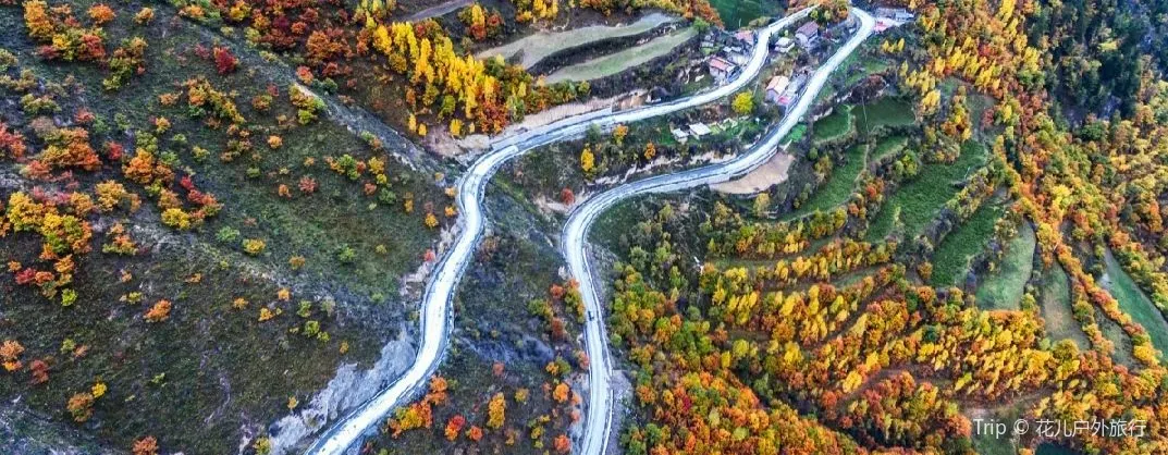 Fall Viewing Attractions