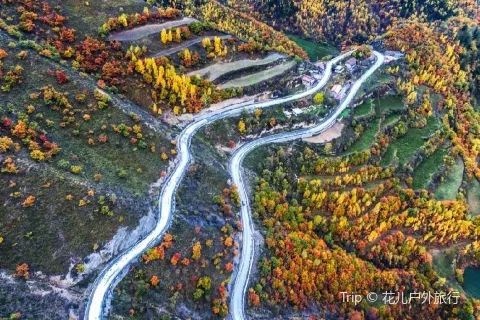 샤허현 상커 초원 관광지