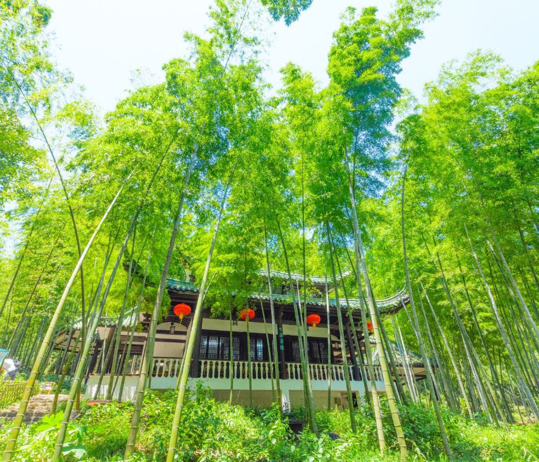 Lautan Bamboo scenic spot