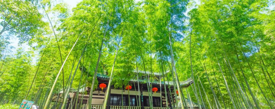 Zhuhai/Taozu Holy Land Scenic Area