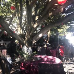 榕園張用戶圖片