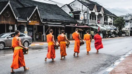 Alms Giving Ceremony in Luang Prabang