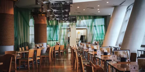 福井市自然史博物館
