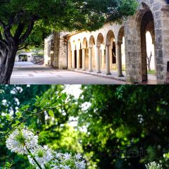 The University Club of Western Australia 여행 사진