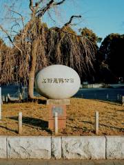 Ueno Park