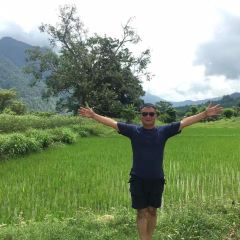 The Himalayan Cafe User Photo
