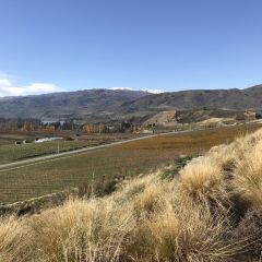 The Winery Restaurant at Mt Difficulty User Photo
