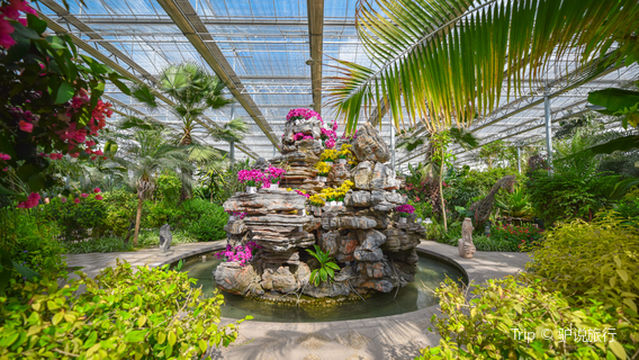 Lingbi Agricultural Expo Park