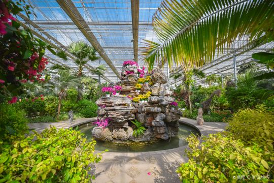 Lingbi