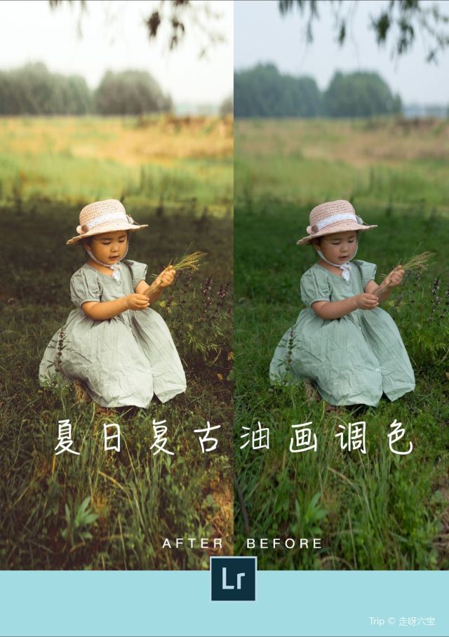 저장 서부 대초원 고명주 문화촌