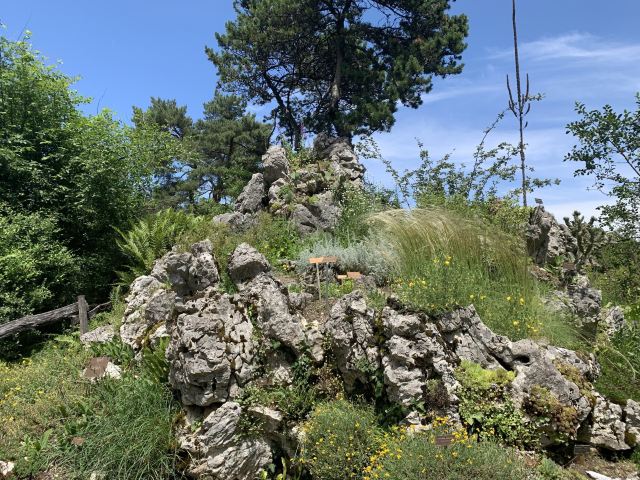 Conservatoire et Jardin botaniques de la Ville de Genève