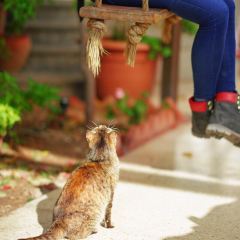 Beit Sitti User Photo