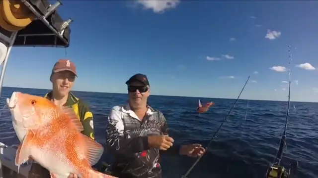 Sea-fishing in Phi Phi Islands