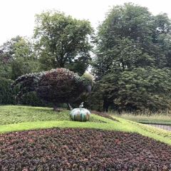 Fortune Garden User Photo