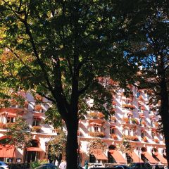 L'Avenue張用戶圖片