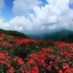 九华山阿尔卡迪亚温泉度假酒店·餐厅 User Photo