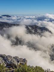 Table Mountain National Park