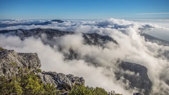 Table Mountain National Park