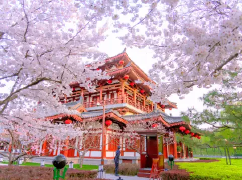 อุทยานต้าถังฝูหรง