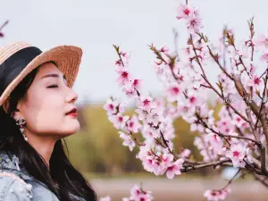 李中水上森林公園