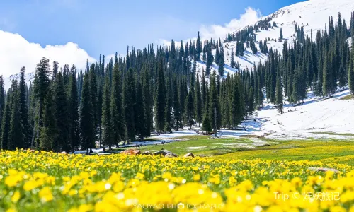 Narat Scenic Spot