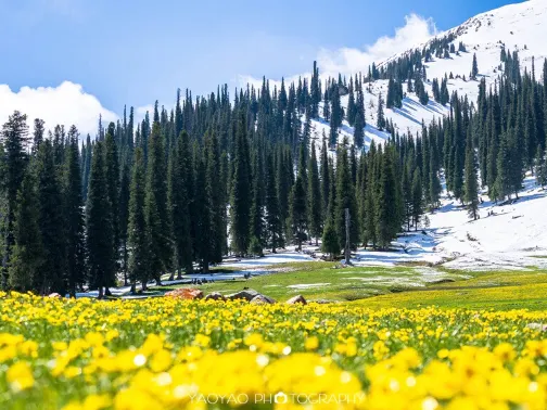 那拉提旅遊風景區