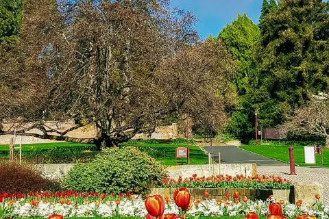 Royal Tasmanian Botanical Gardens