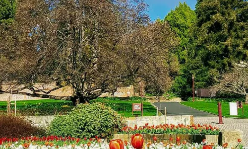 Royal Tasmanian Botanical Gardens