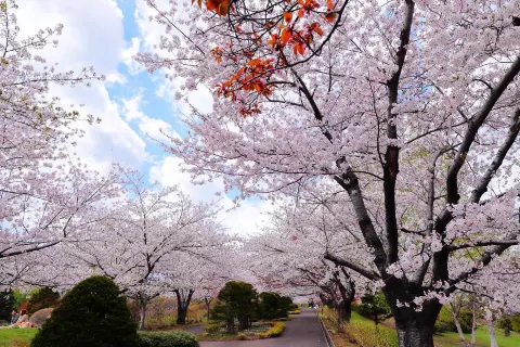 大沼國定公園