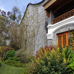杨薇的茶小院 User Photo